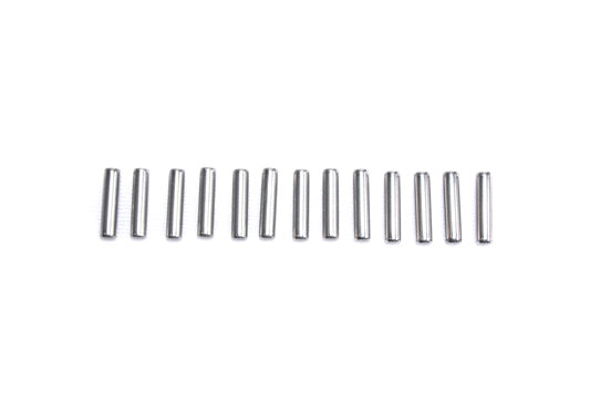 Right Side Case Roller Bearing Set Standard