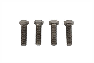 Tappet Adjuster Screw