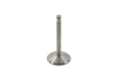 Stainless Steel Intake Valve
