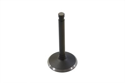 Nitrate Finish Intake Valve