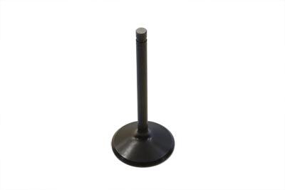 Stainless Black Diamond Intake Valve