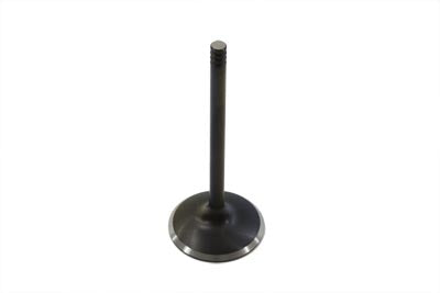 Black Diamond Stem Intake Valve