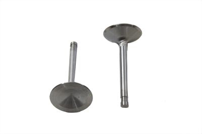 Stainless Steel Intake Valve