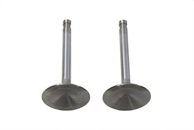 Stainless Steel Intake Valve