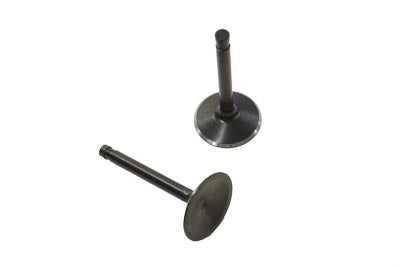 Nitrate Intake Valve