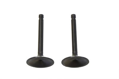 Nitrate Intake Valve