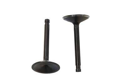 Nitrate Intake Valve