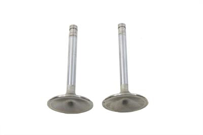 Stainless Steel Intake Valve