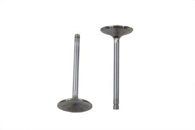 Stainless Steel Intake Valves