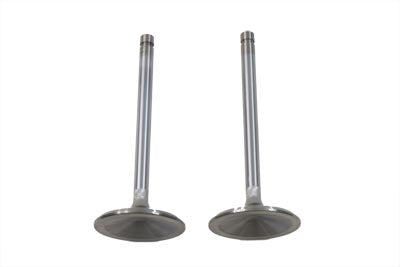 Stainless Steel Intake Valves