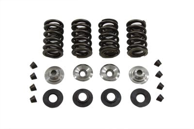 Valve Spring Kit