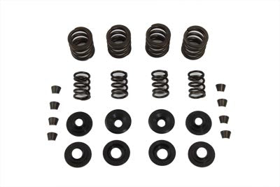 Sifton Valve Spring Kit