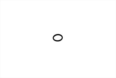 Starter Coupler O-Ring