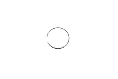 Piston Ring for Rear Brake Caliper