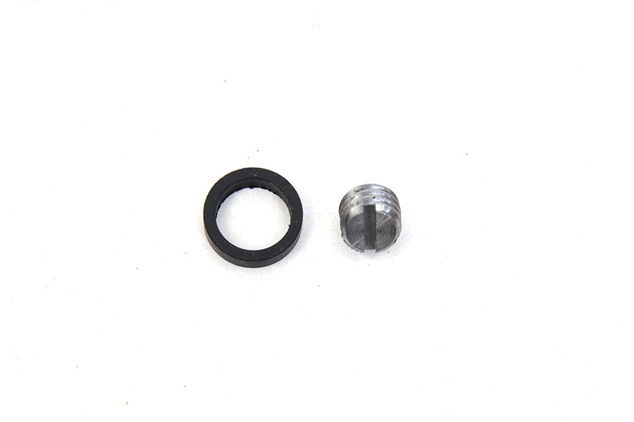Shifter Fork Cam Shaft Lock Screw and Oil Seal Kit