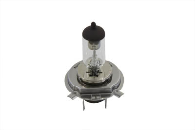 Bulb Only 12 Volt