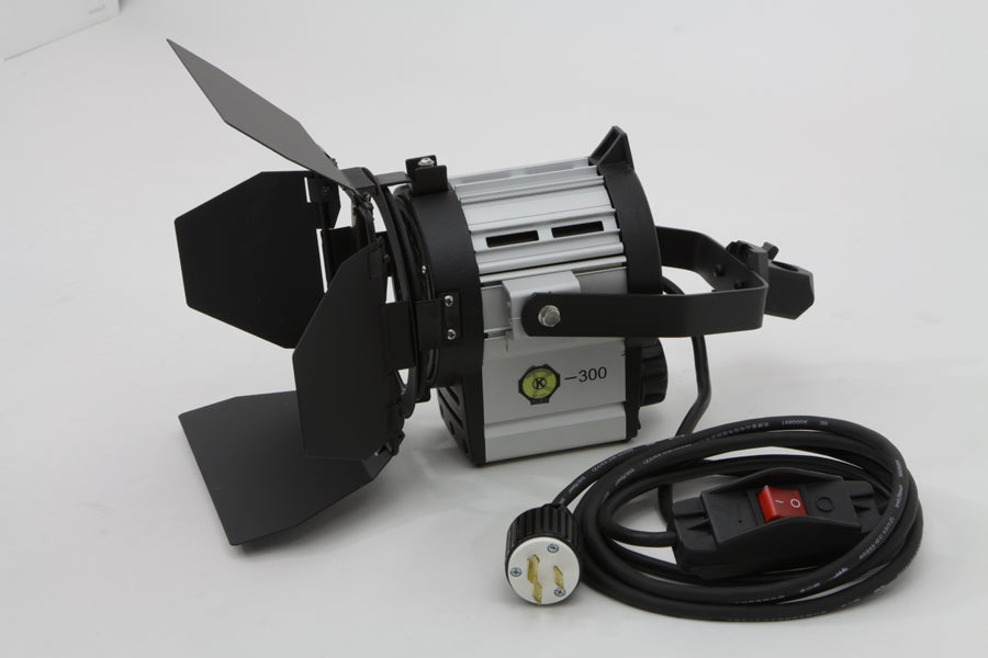 DTW 300 Tungsten Light