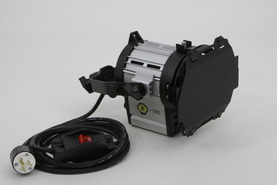 DTW 300 Tungsten Light