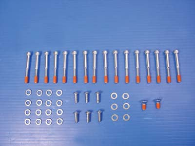 Primary Allen Type Screw Kit