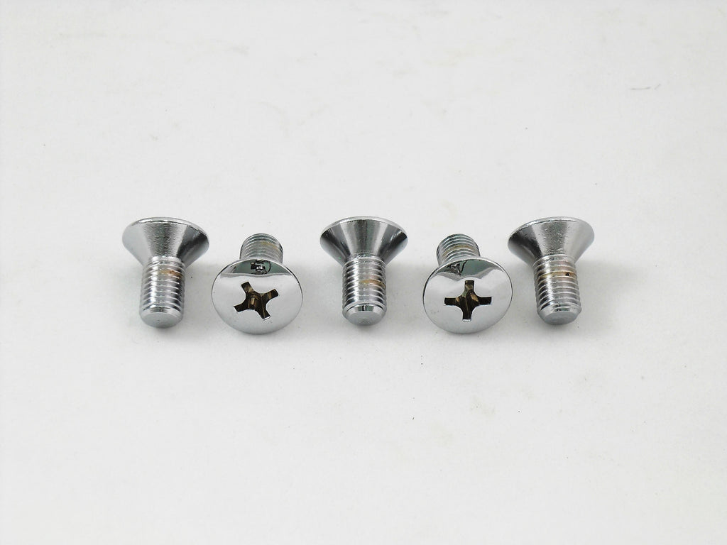 Oval Head Slotted Chrome Screws
