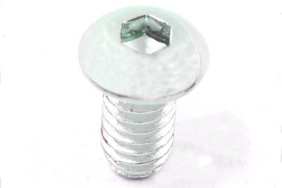 Allen Button Head Screws Chrome 1/4 X 2
