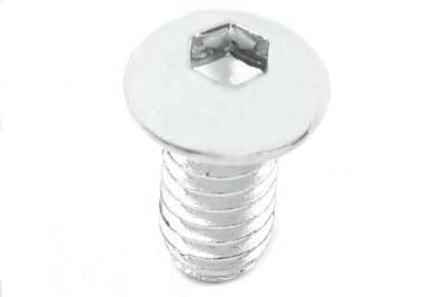 Allen Button Head Screws Chrome 1/4 X 2-5/8