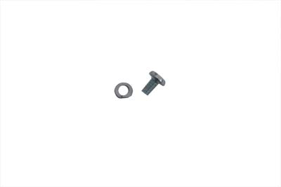 Switch Terminal Screws and Washers