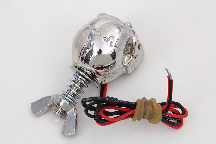 Silver Skull License Plate Bolt Set with LED