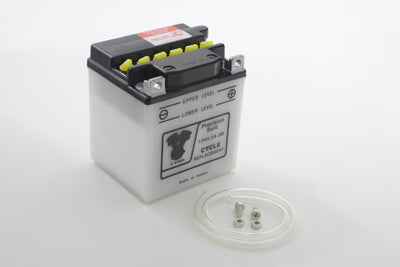 Mini 12 Volt Battery