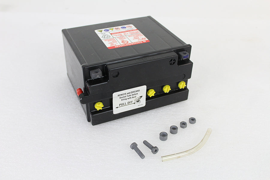 12 Volt 19 Amp CX Battery