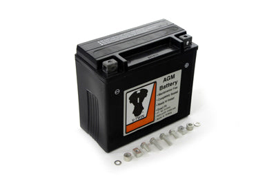 AGM Fully Sealed Black Battery