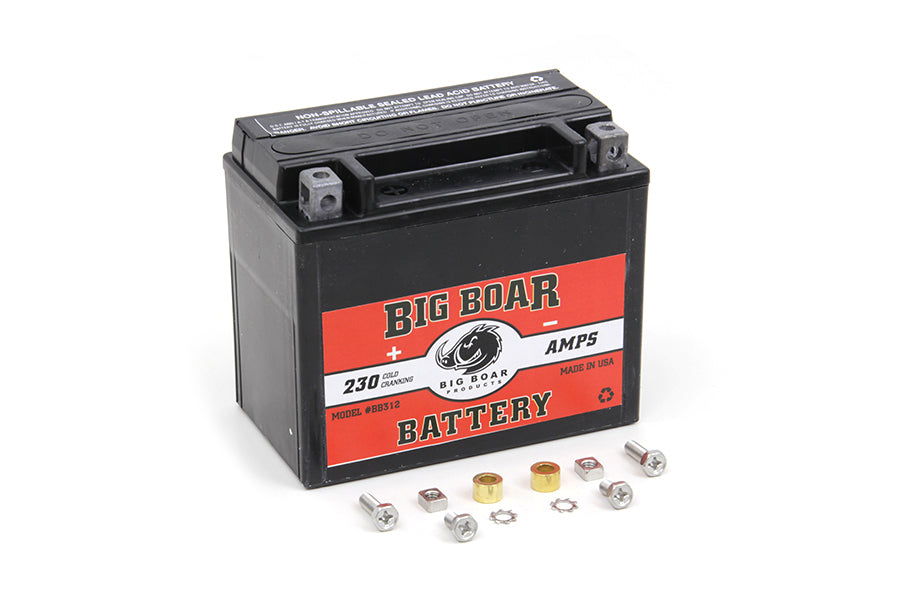 Big Boar Mini Battery