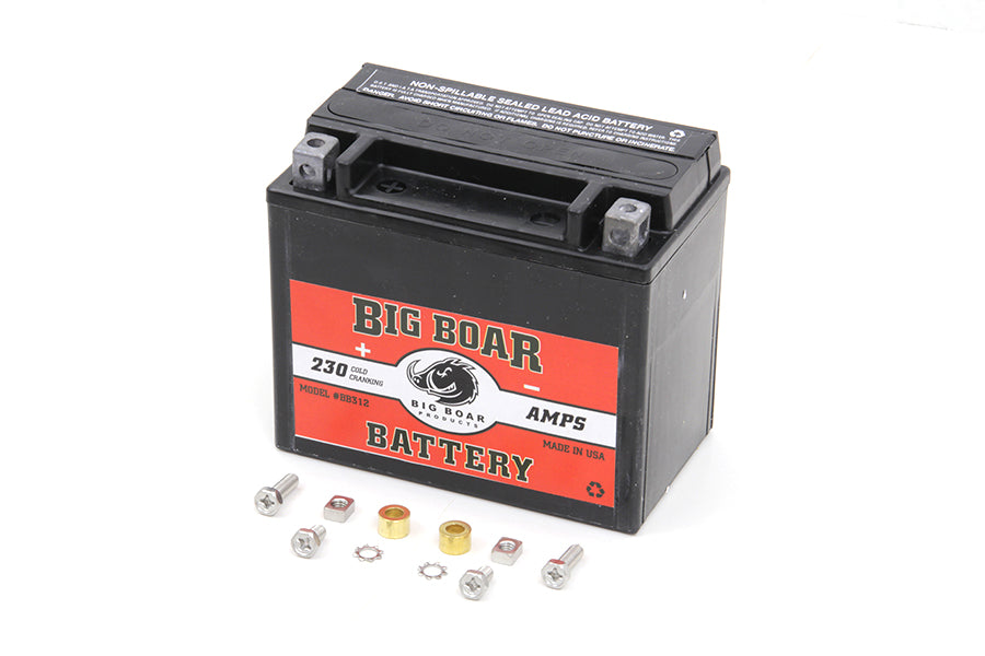 Big Boar Mini Battery