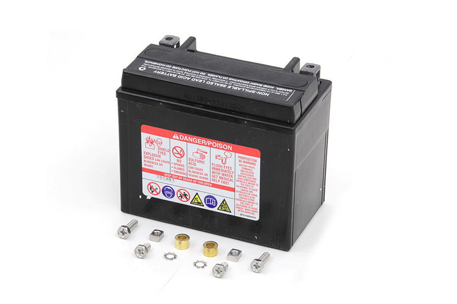 Big Boar Mini Battery