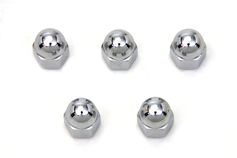 Chrome Acorn Nut 1/4 -20 Coarse Thread