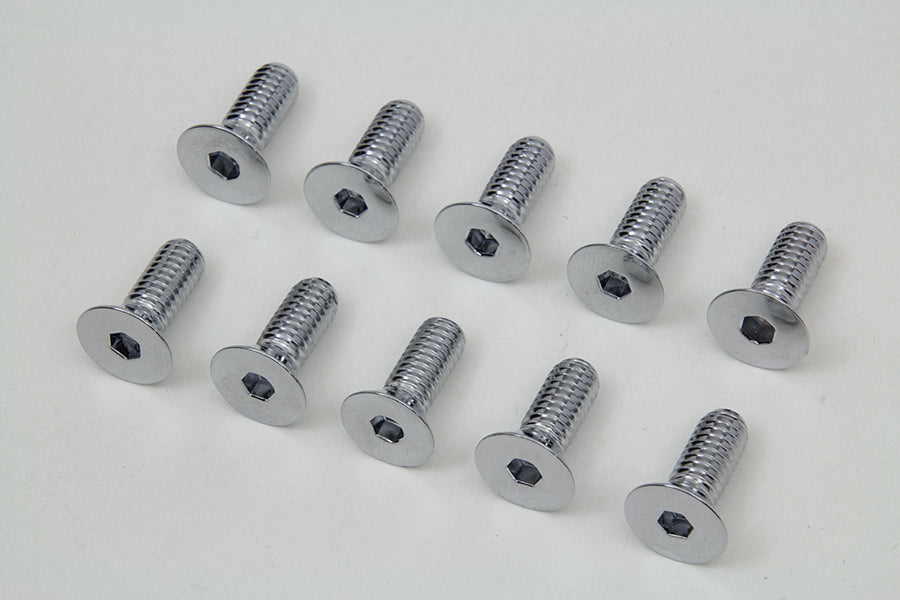 Chrome Allen Type Disc Screw