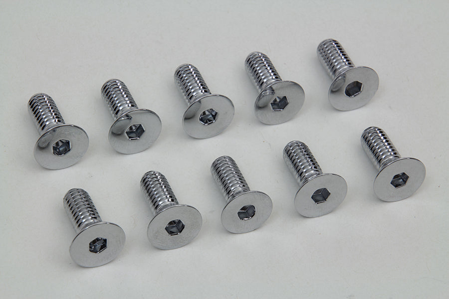 Chrome Allen Type Disc Screw