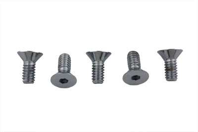 Chrome Allen Type Front Disc Screw
