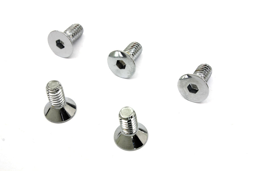 Chrome Allen Type Front Disc Screw