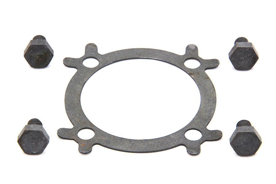 Linkert Air Cleaner Mount Screw and Lock Kit