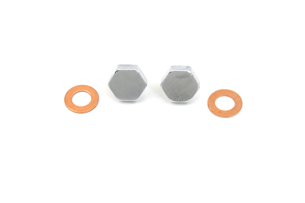 Chrome Fork Slider Drain Screws